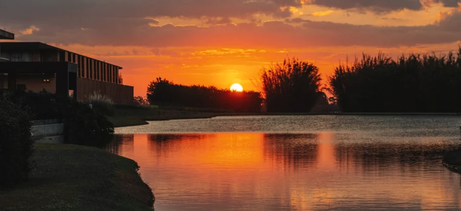por do sol no clara dourado