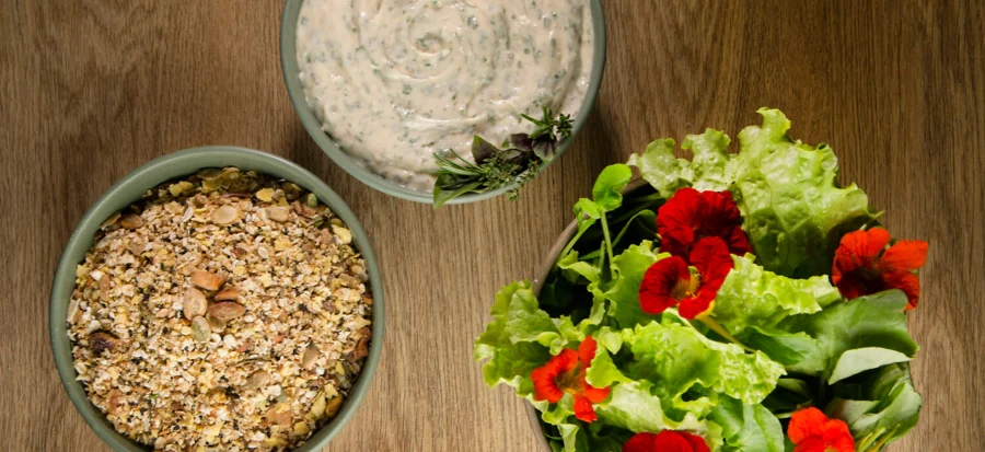 viagem gastronomica no clara resorts