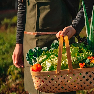 no Clara Resort tem horta e as comidas são feitas com alimentos colhidos frescos e saudáveis