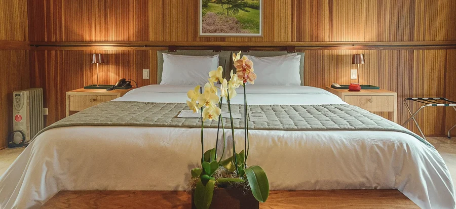 suite master clara ibiuna