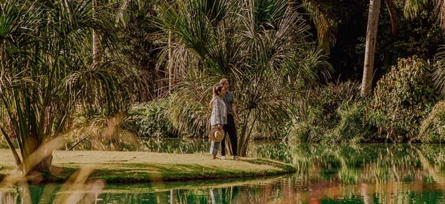 casal passeando e observando o clara arte