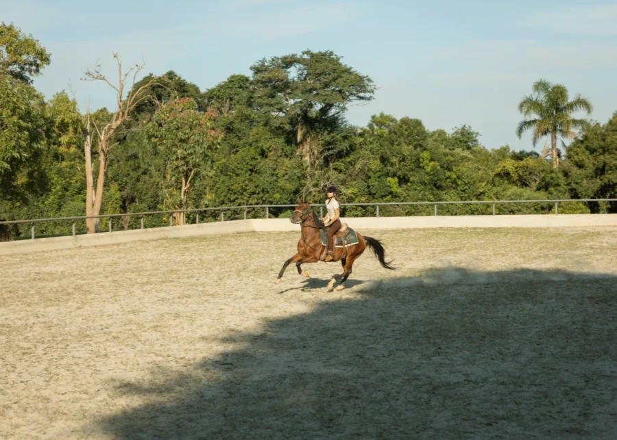 Entenda a diferença entre hotel fazenda e resort e descubra como o Clara Dourado une o contato com a natureza à sofisticação de um serviço 5 estrelas.